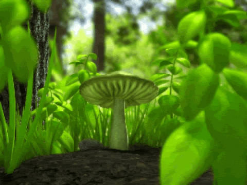 mushrooms trip gif