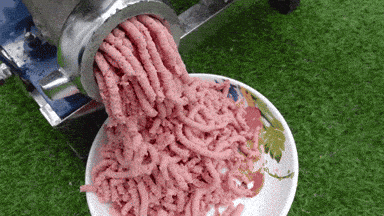 giphy-downsized-large.gif
