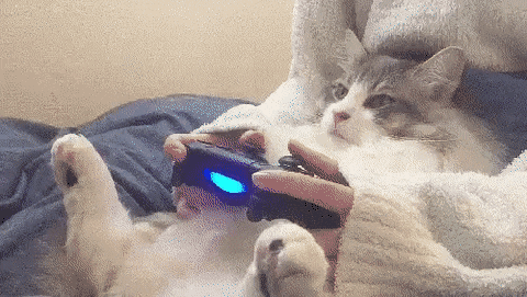 playing playstation with cat on lap