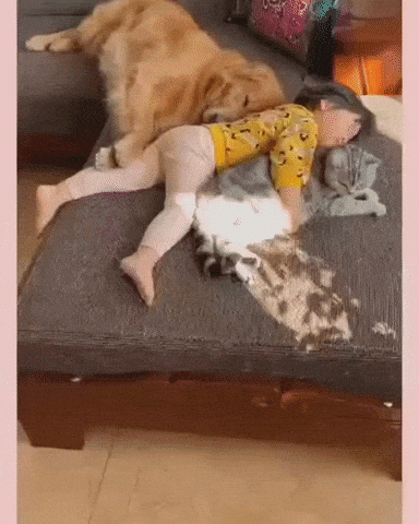 Nap time in funny gifs