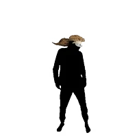 Standing silhouette with a flame-like crest on the head