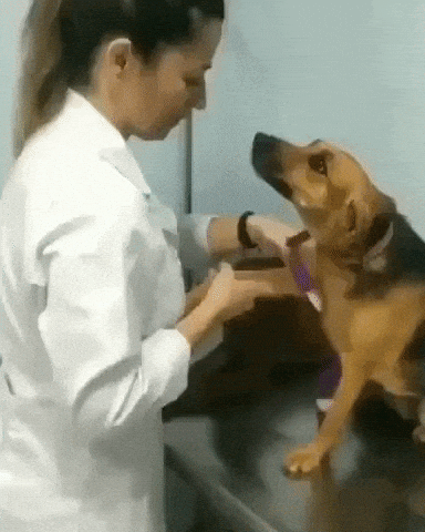 Staying still for doctor in wow gifs