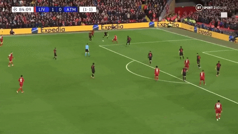 giphy.gif