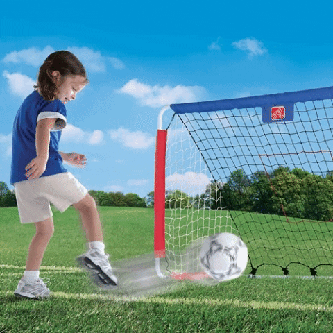 backyard soccer set