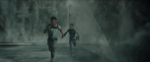 How Well Do You Remember the First 'Maze Runner' Movie?