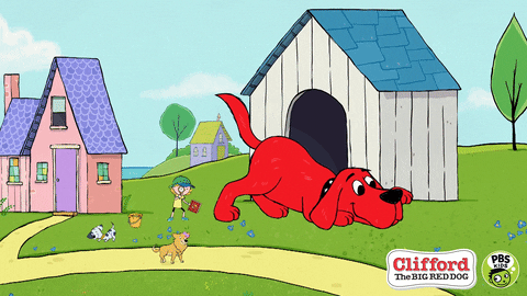 Looking Clifford The Big Red Dog GIF by PBS KIDS - Find & Share on GIPHY