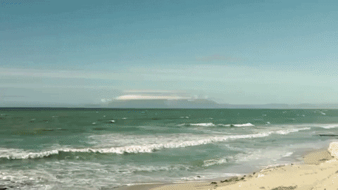 Porsche Ibérica GIF