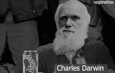 gif of the person giving a signal of thumbs up with an image of an elder Charles Darwin's face pasted to the body, with the caption 