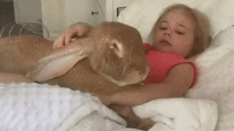 Thats an absolute unit of bunny