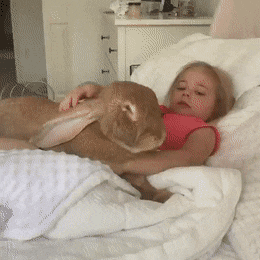 Thats an absolute unit of bunny in wow gifs
