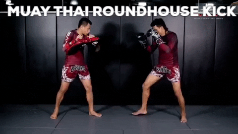 muay thai roundhouse kick gif