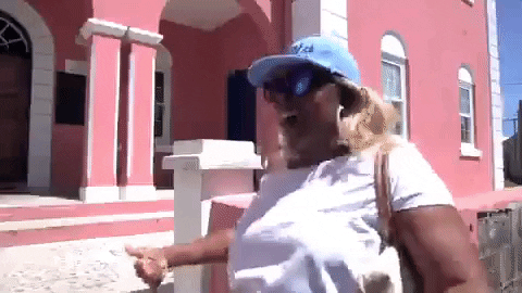 Bermuda Shrug GIF by Bermemes
