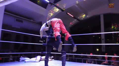 Wrestling GIF