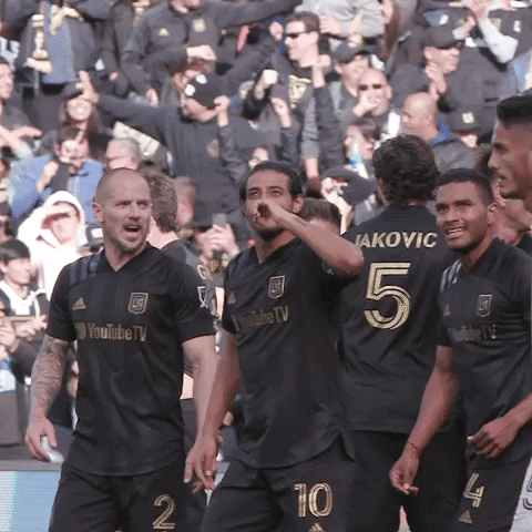Los Angeles Celebration GIF by LAFC