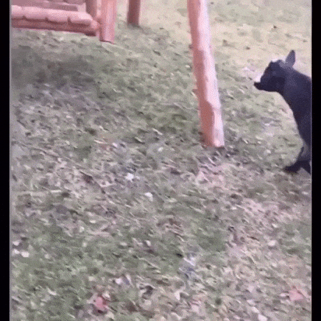 Swings are not easy in funny gifs