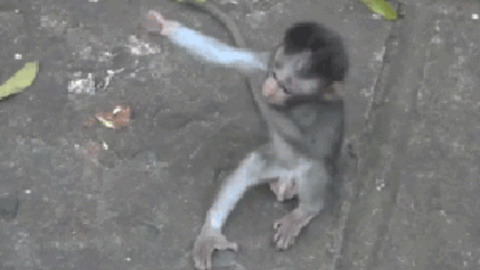 Come here Sweet heart best Gif