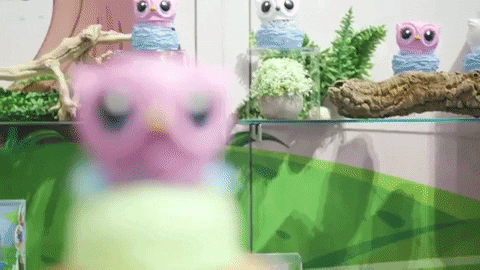 Animated GIF