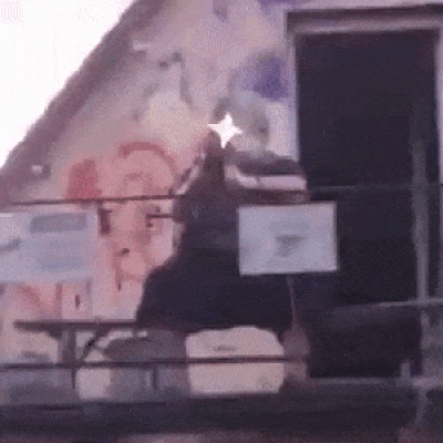 giphy.gif