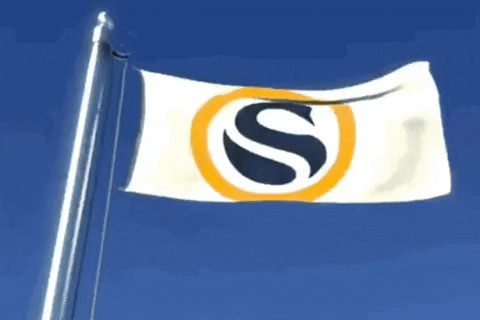 Swan Bitcoin GIF