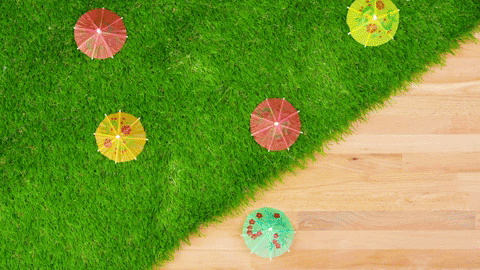 evite GIF - Find & Share on GIPHY