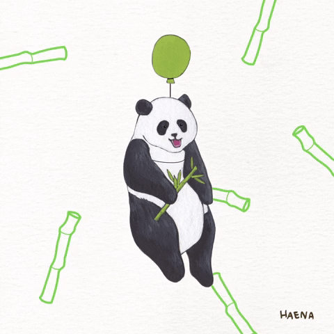 Fly Panda GIF by haenaillust