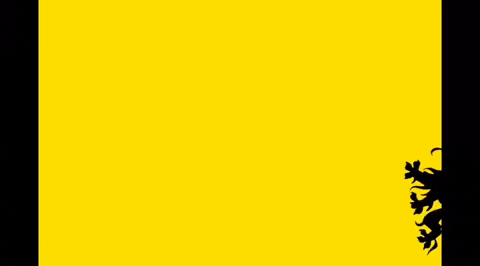 Brabant GIF - Find & Share on GIPHY