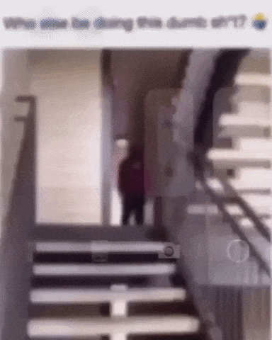 We all do this in funny gifs