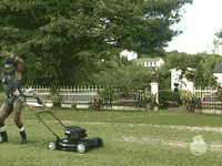 Memes GIF - Find & Share on GIPHY Memes GIF - Find & Share on GIPHY