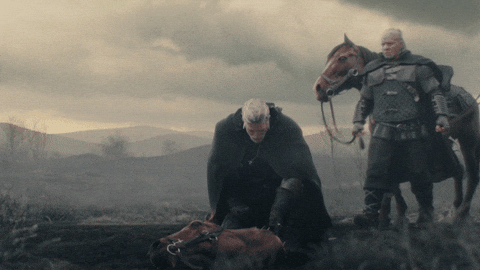 Witcher 3 GIF