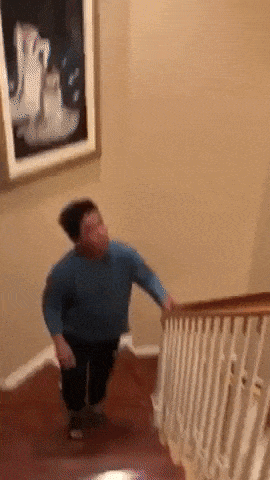 How to solve house fly problem in funny gifs