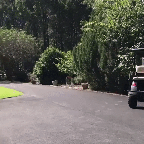Ncaa Sports Sport GIF by SEC Network