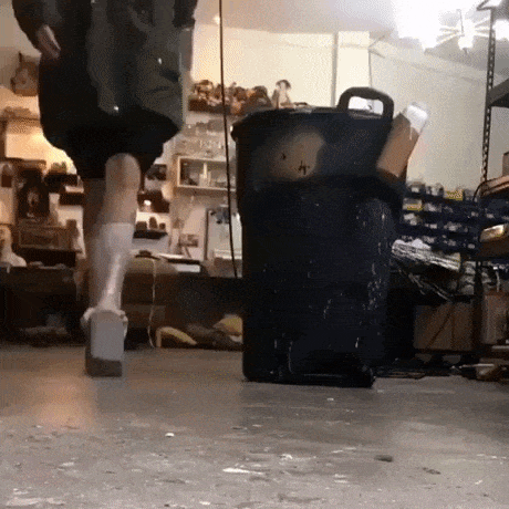 Daily dose of WTF in wtf gifs