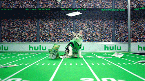 giphy.gif