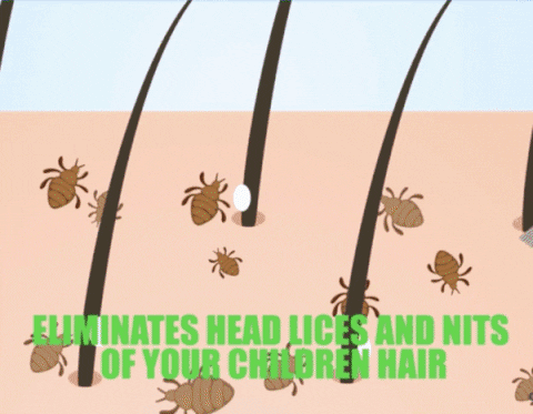 Head Lice Comb Removal