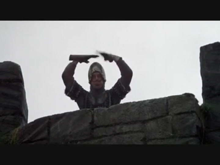 Image result for Monty python french gif