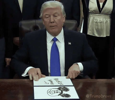 Trump Trying To Get Impeached