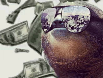 Sloth with raining money gif.