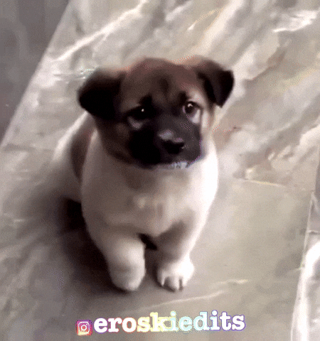 GIF
