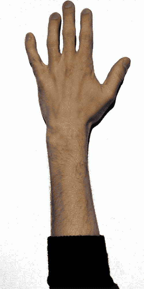 Stop Motion Animation GIF Find & Share on GIPHY