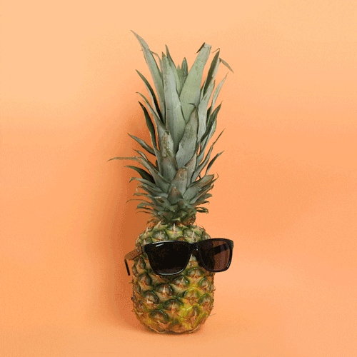 Pineapple Totes GIF