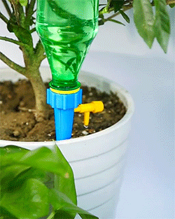 Automatic plant watering | Water System