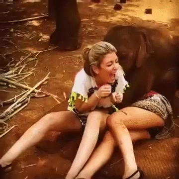 Girls playing with themselves gif have Thanks Girls playing with themselves gif