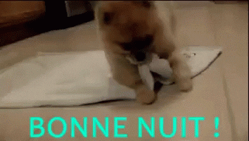 https://media.giphy.com/media/VcwIQvWil2W9PBnSDi/giphy.gif