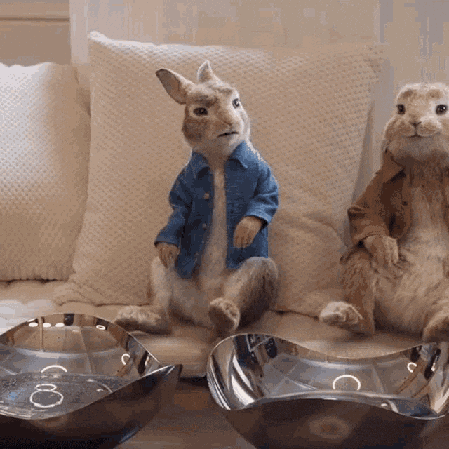 Domhnall Gleeson No GIF by Peter Rabbit Movie Find & Share on GIPHY