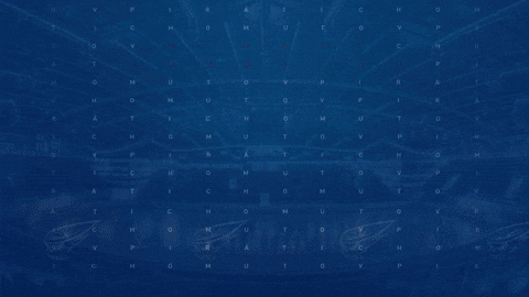 Piráti Chomutov GIF