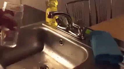 Meanwhile this amazing tap in funny gifs