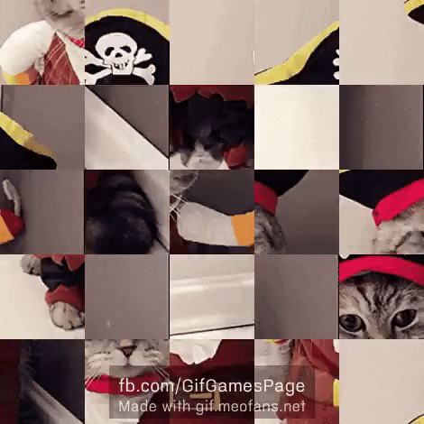 Pirate cat gifgame in gifgame gifs