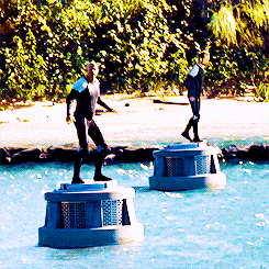 The Hunger Games Film GIF