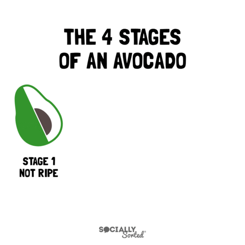 4 Stages of an Avocado GIF by Socially Sorted - 60+ July Social Media Ideas - Videos, GIFs and More