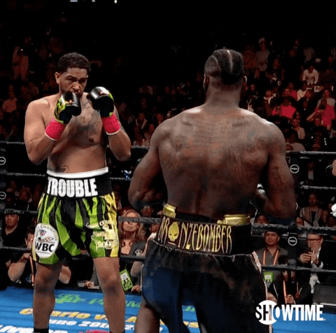 Deontay Wilder Sport GIF by SHOWTIME Sports - Find & Share on GIPHY